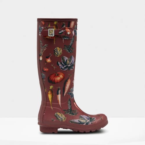 Hunter Original Peter Rabbit 2 Tall Rain Boots For Womens - NZ B1703